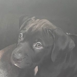 Meet your Posher, Joanna